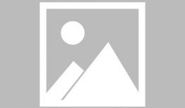 动漫卡通综合,奇幻冒险与欢乐时光的完美融合